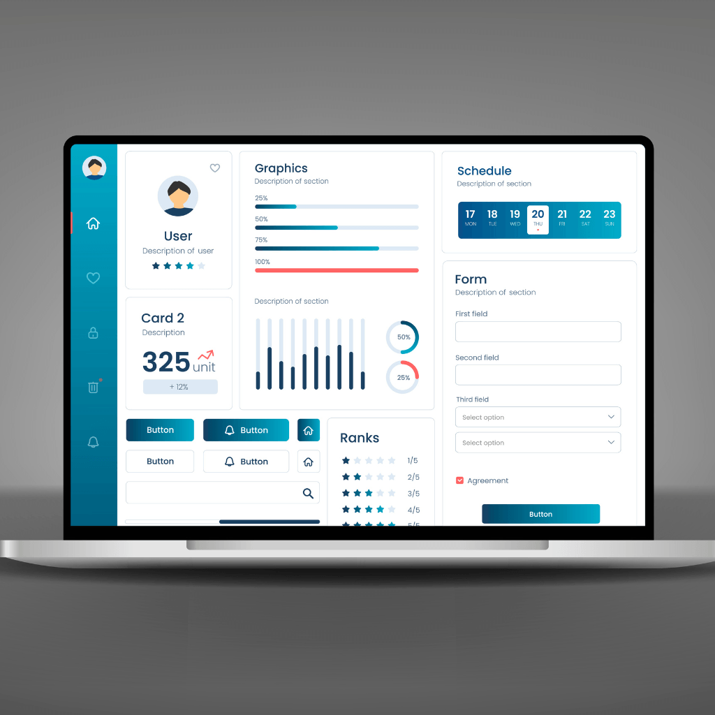 About Accounting Software Development India services in India